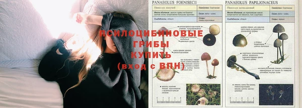 каннабис Алзамай