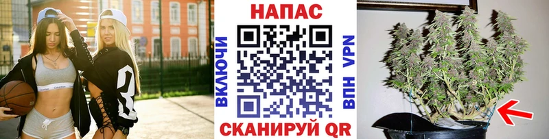 blacksprut ссылка Игра Бошки марихуана планчик